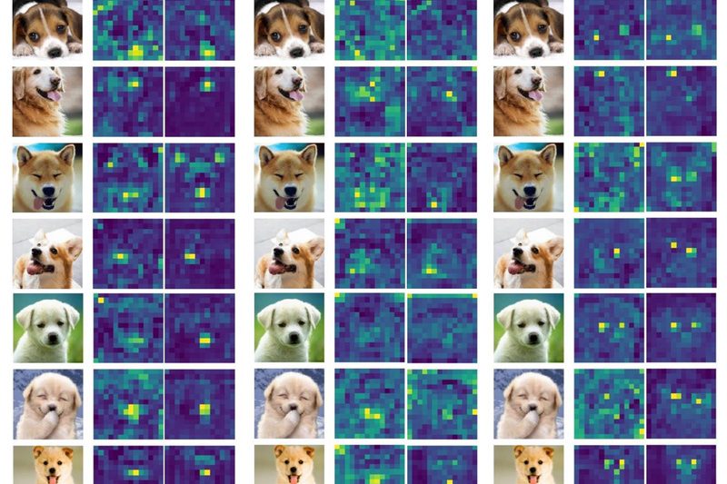 PytorchInsight: Boost CNN Performance with Lightweight, Plug-and-Play Attention Modules for Vision Tasks
